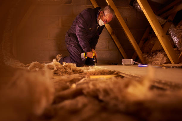 Best Attic Insulation Installation  in Verona, KY